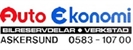 AUTO EKONOMI